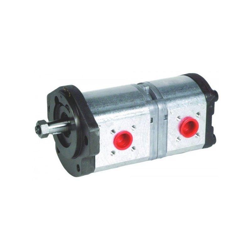 Pompes hydrauliques pour pelles et mini-pelles